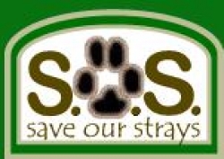 humane society for animals